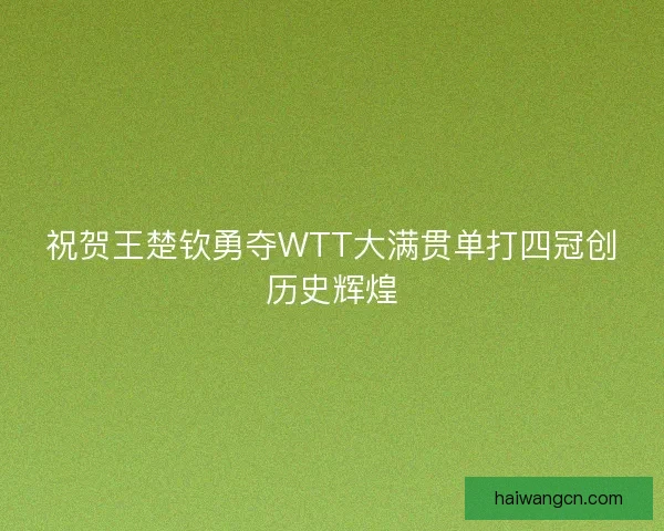 祝贺王楚钦勇夺WTT大满贯单打四冠创历史辉煌